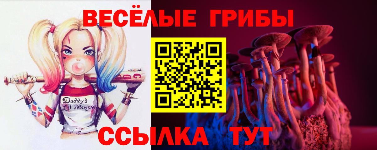 наркотики  Галлюциногенные грибы Psilocybine cubensis  Галлюциногенные грибы Psilocybine cubensis  Вход с VPN  Ирбит 