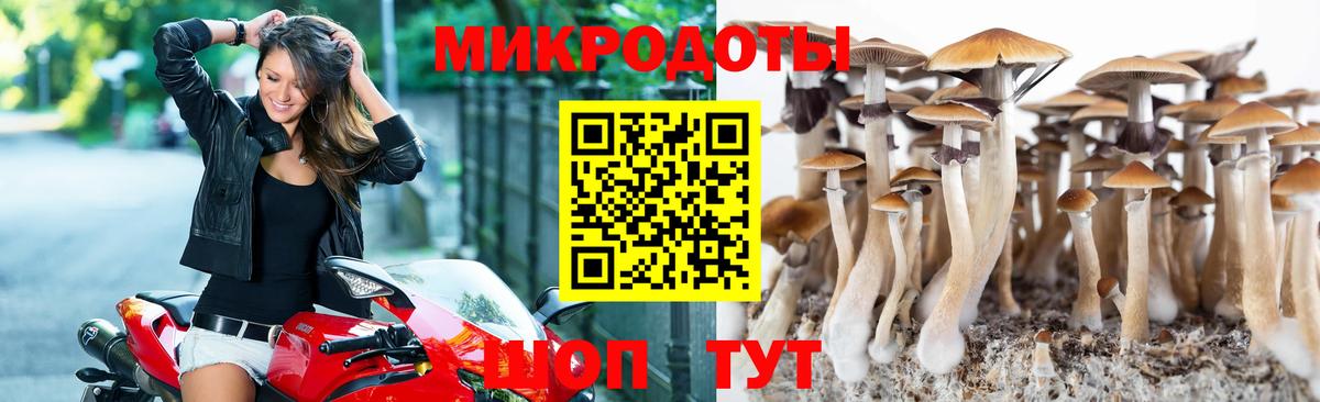 Псилоцибиновые грибы Cubensis Ирбит